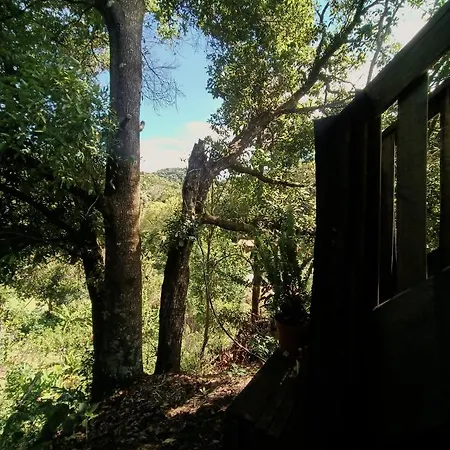 Valchi Hospedaje De Montana Copey Exterior photo