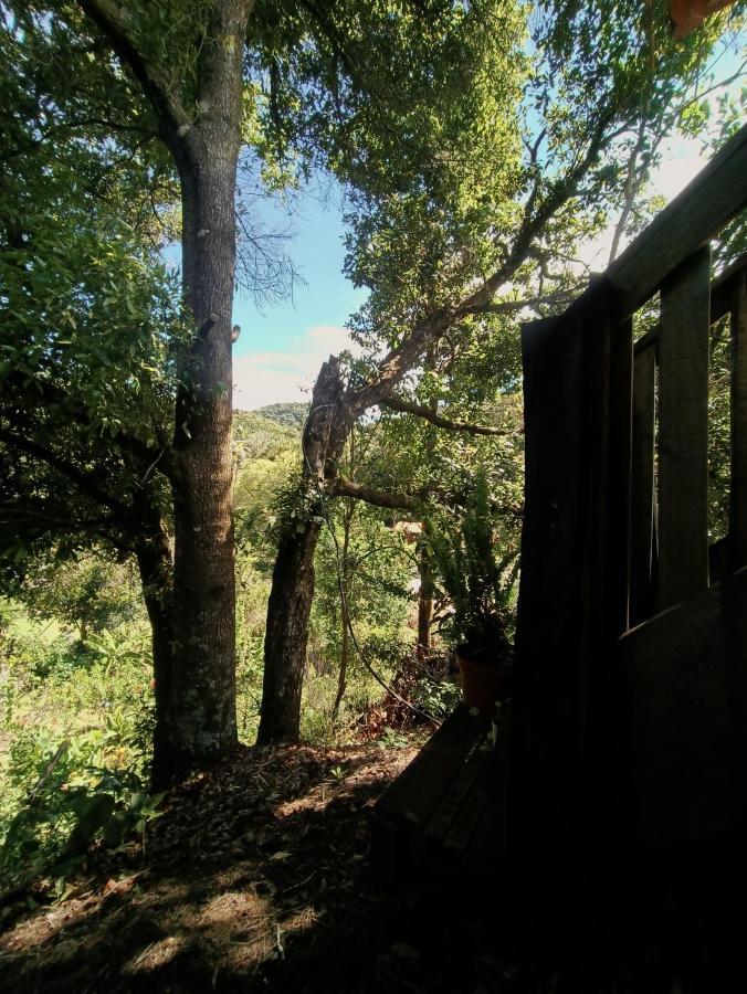 Valchi De Montana Holiday home