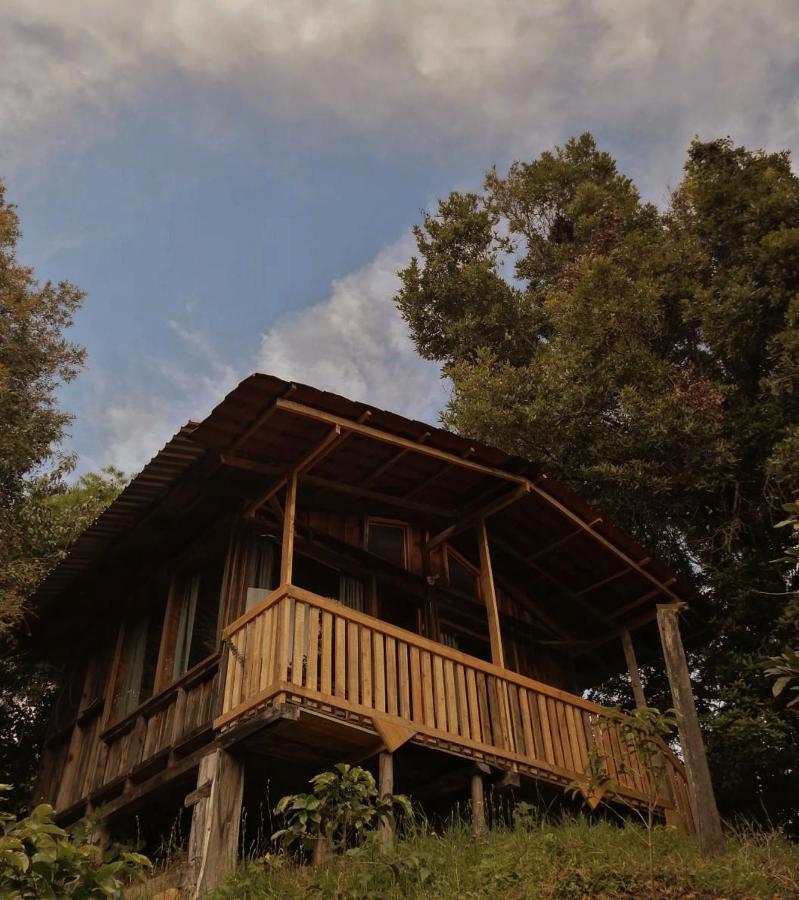 Holiday home Valchi De Montana *