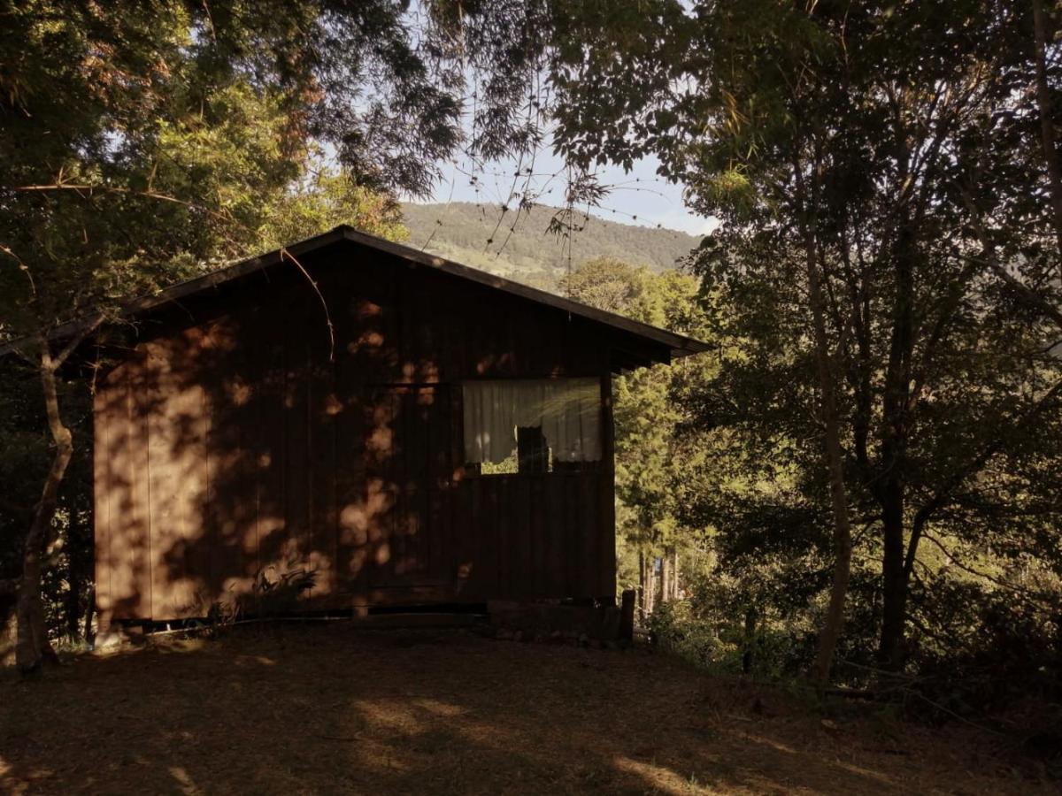 Valchi De Montana Holiday home *